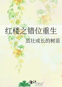 《红楼之错位重生》