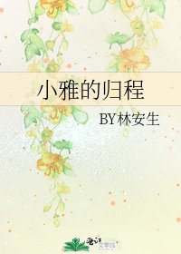 《小雅的归程》