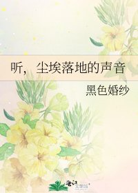 《听,尘埃落地的声音》