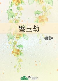 《璧玉劫》