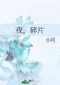 《夜,碎片》