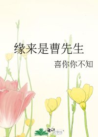 《缘来是曹先生》