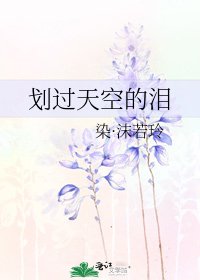 《划过天空的泪》