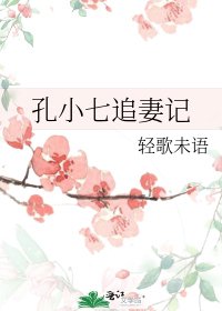 《孔小七追妻记》
