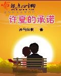 《许夏的承诺》