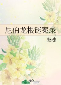 《尼伯龙根谜案录》