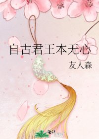 《自古君王本无心》