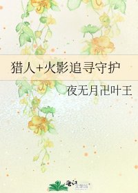 《猎人+火影追寻守护》