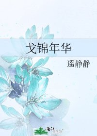 《戈錦年華》