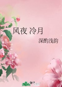 《风夜 冷月》