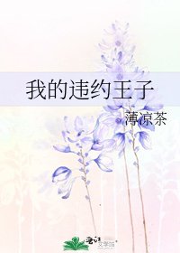 《我的违约王子》