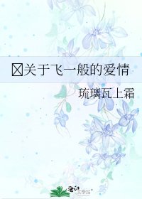 《关于飞一般的爱情》