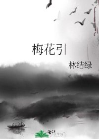 《梅花引》