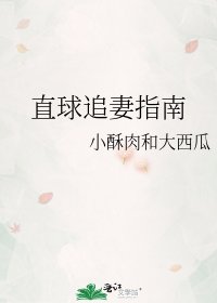 《直球追妻指南》
