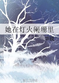 《她在灯火阑珊里》