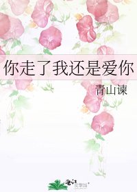 《你走了我还是爱你》