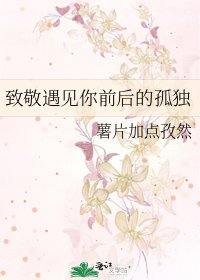 《致敬遇见你前后的孤独》