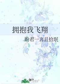 《拥抱我飞翔》