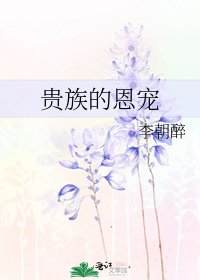 《贵族的恩宠》