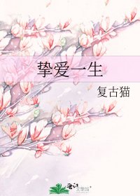《挚爱一生》