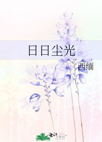 《日日尘光》