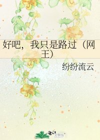《好吧,我只是路过(网王)》