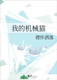 《我的機械貓》
