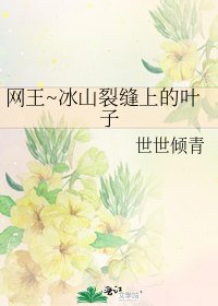 《网王~冰山裂缝上的叶子》