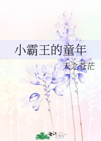 《小霸王的童年》