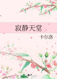 《寂静天堂》