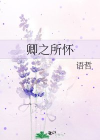 卿之所怀