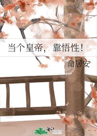 《当个皇帝,靠悟性!》