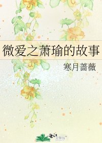 微矮之萧瑜的故事