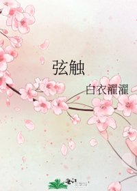 《弦触》