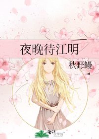《夜晚待江明》