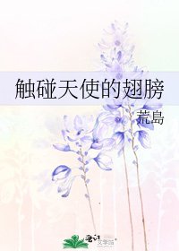 《触碰天使的翅膀》