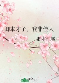 《卿本才子,我非佳人》