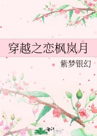《穿越之恋枫岚月》