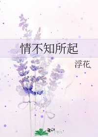 《情不知所起》