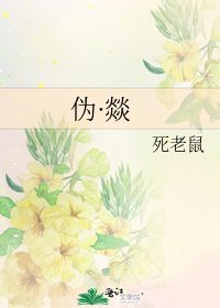 《伪·燚》