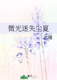 《微光迷失尘夏》