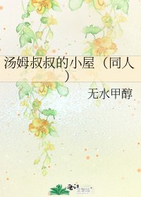 《汤姆叔叔的小屋(同人)》