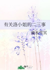 《有关洛小姐的二三事》