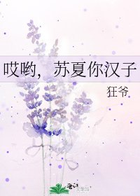 《哎哟,苏夏你汉子》