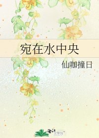 《宛在水中央》