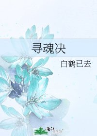 《寻魂决》