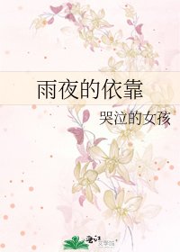 《雨夜的依靠》