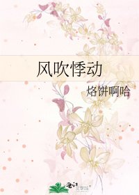 《风吹悸动》