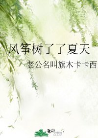 《风筝树了了夏天》