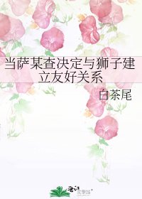 《当萨某查决定与狮子建立友好关系》